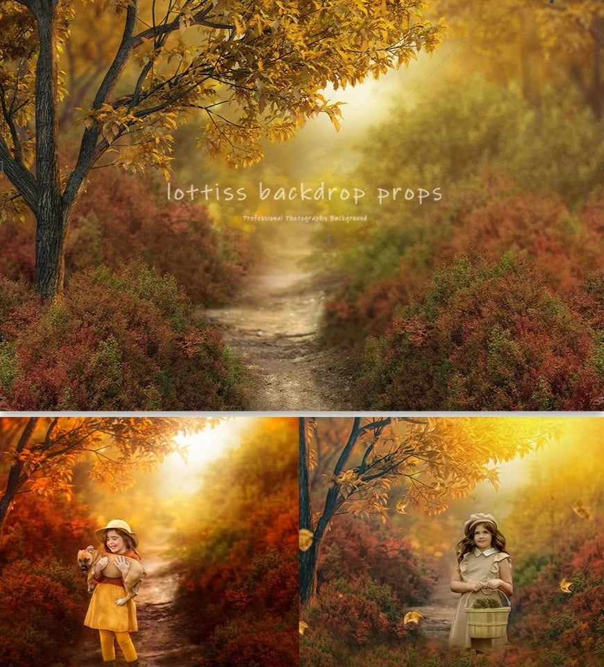 KMK - Autumn Gold Forest Path Backdrop