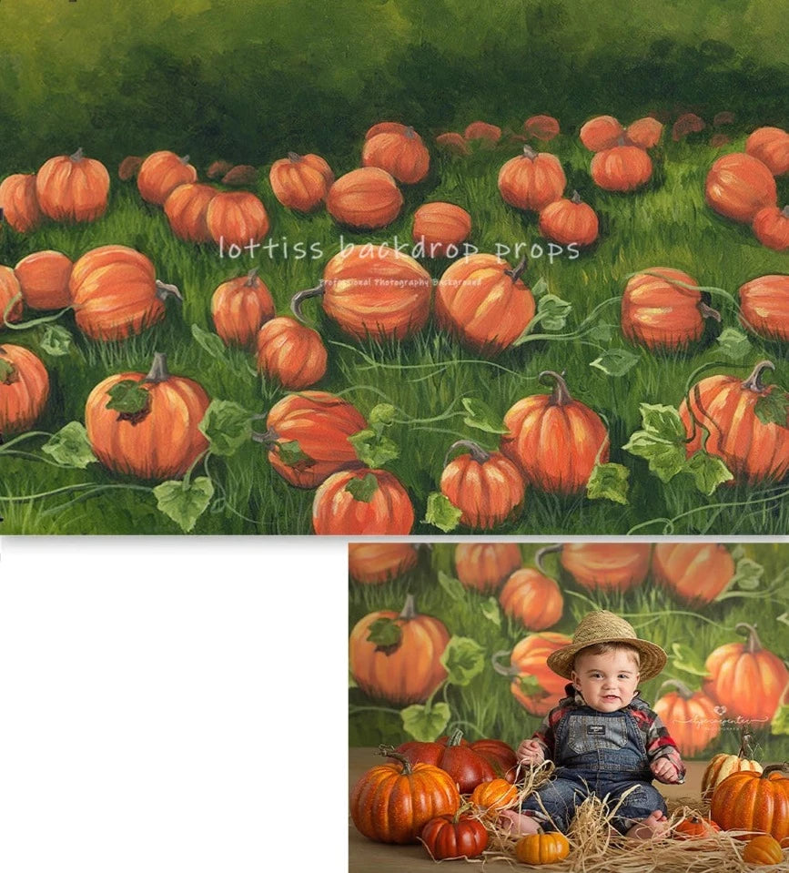 KMK - Autumn Orange Pumpkin Field Farm Backdrop