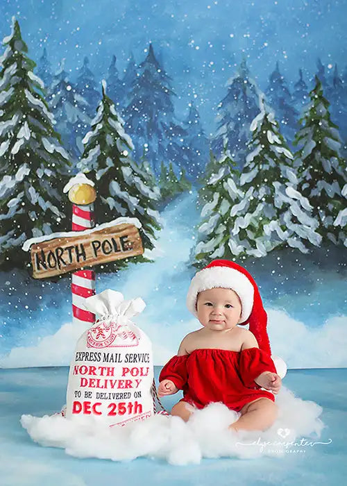 KMK - Christmas North Pole Backdrop