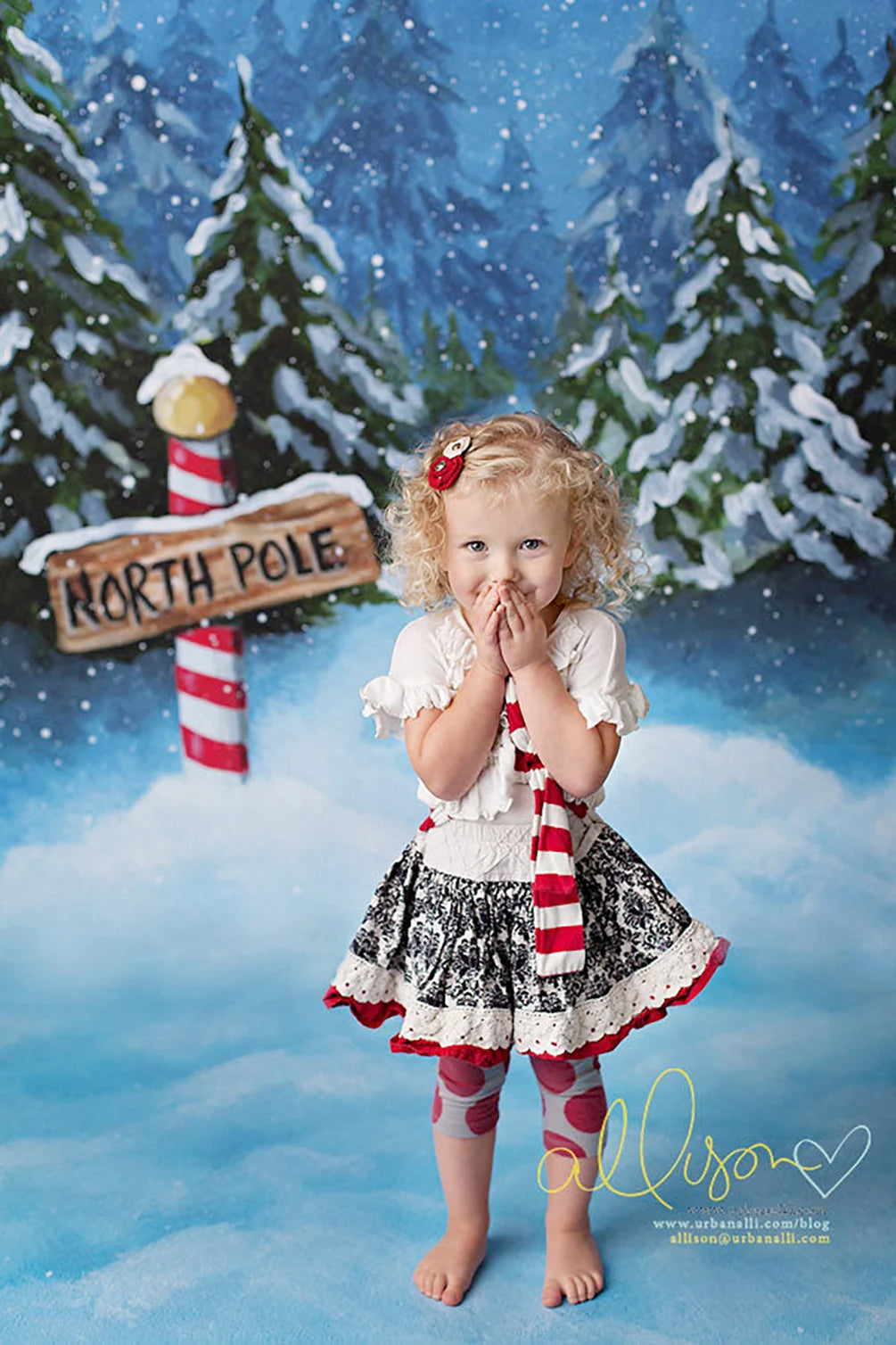 KMK - Christmas North Pole Backdrop