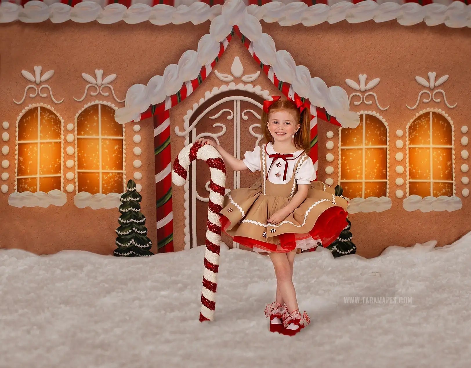 KMK - Christmas Store Front Backdrop