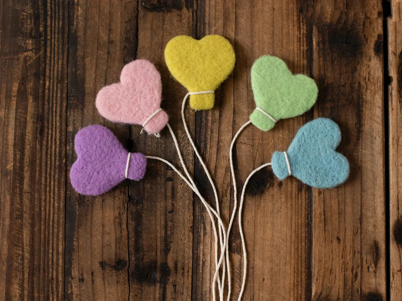 KMK - Felt photo Props - Assorted Designs