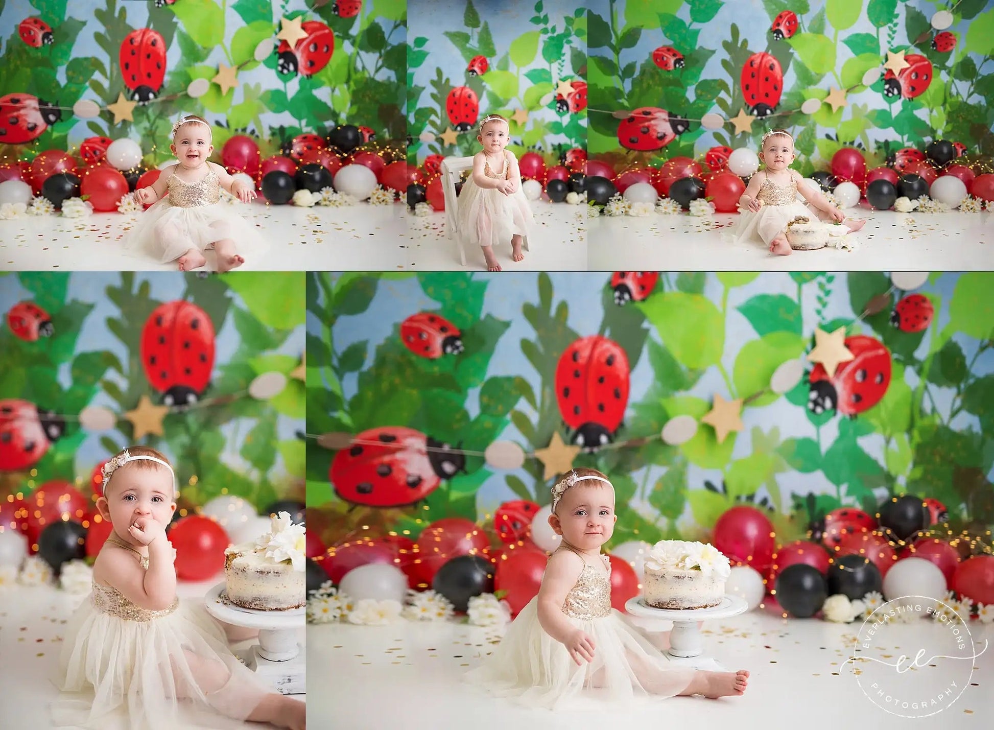 KMK - Garden Ladybug Backdrop