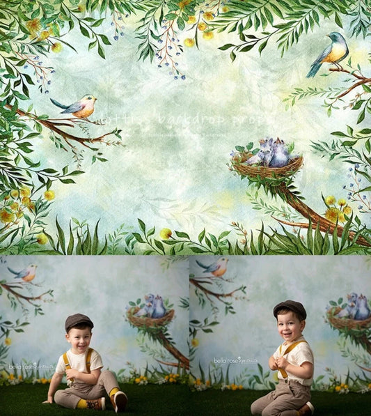 KMK - Spring Bird Nest Backdrop