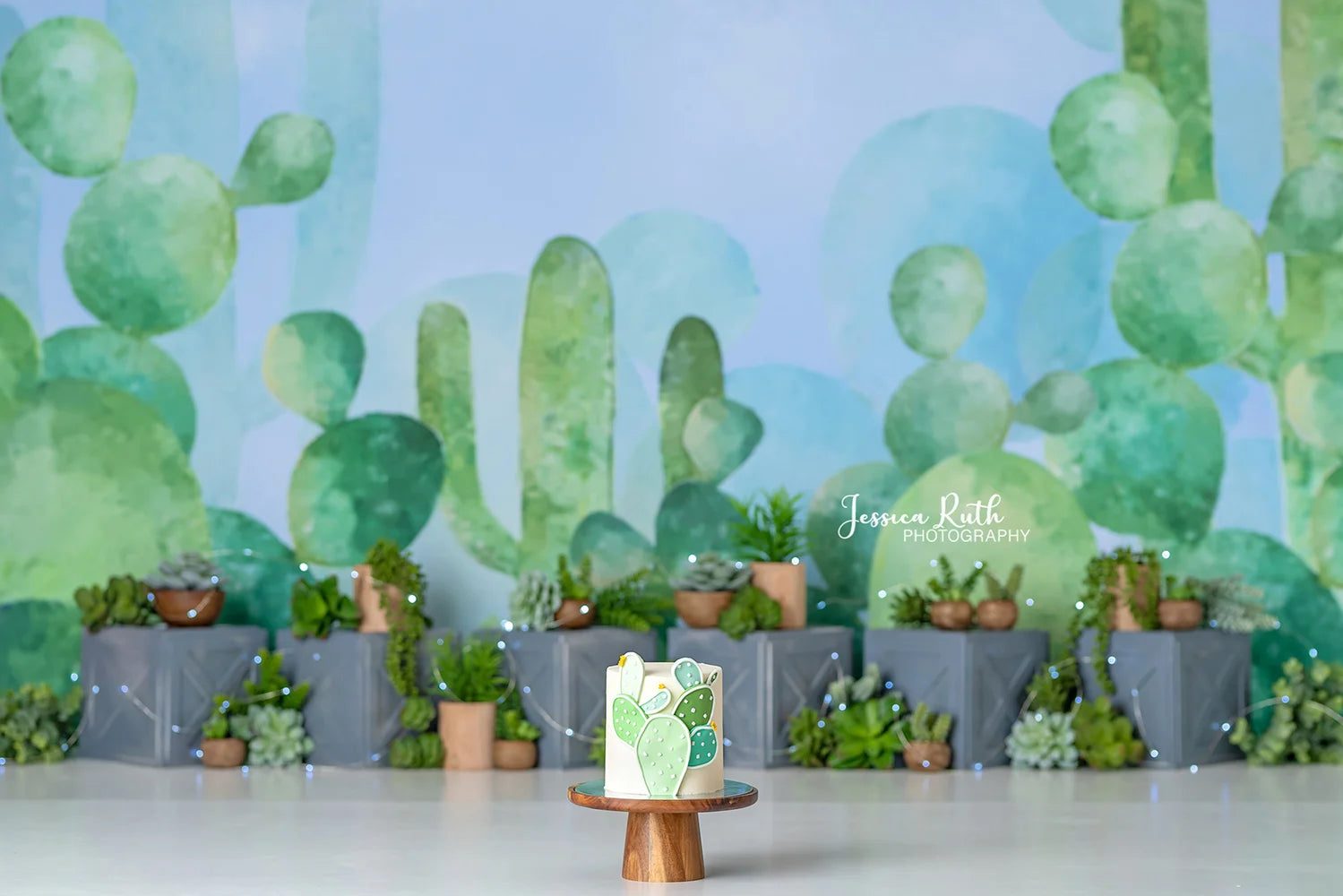 KMK - Succulent Garden Backdrop