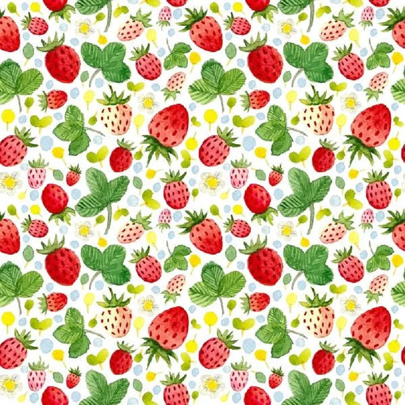 KMK - Watercolour summer strawberry Backdrop