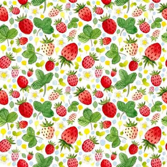 KMK - Watercolour summer strawberry Backdrop