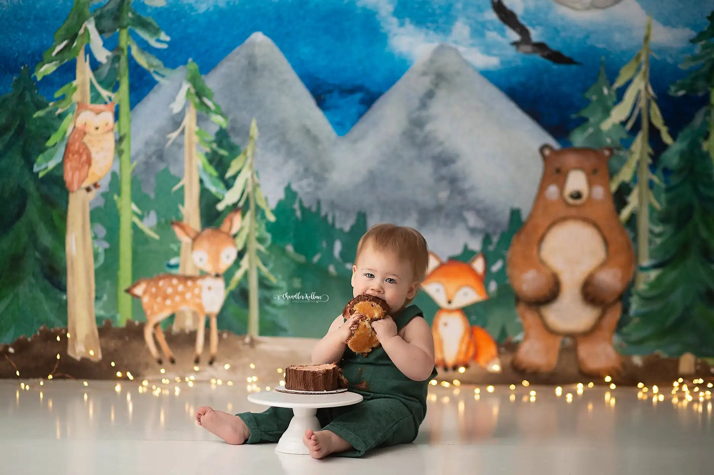 KMK - Woodland Animals Camping Backdrop