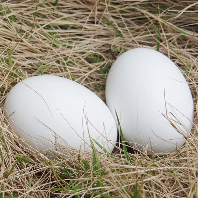 Wood Eggs Photography Props 2 pc set